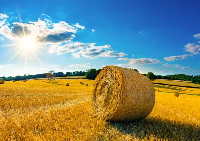 Haystack in a field, with a needle hidden inside