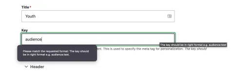 Field Formatter pattern module usage