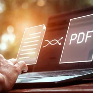 HTML or PDF document