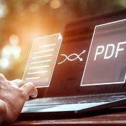 HTML or PDF document